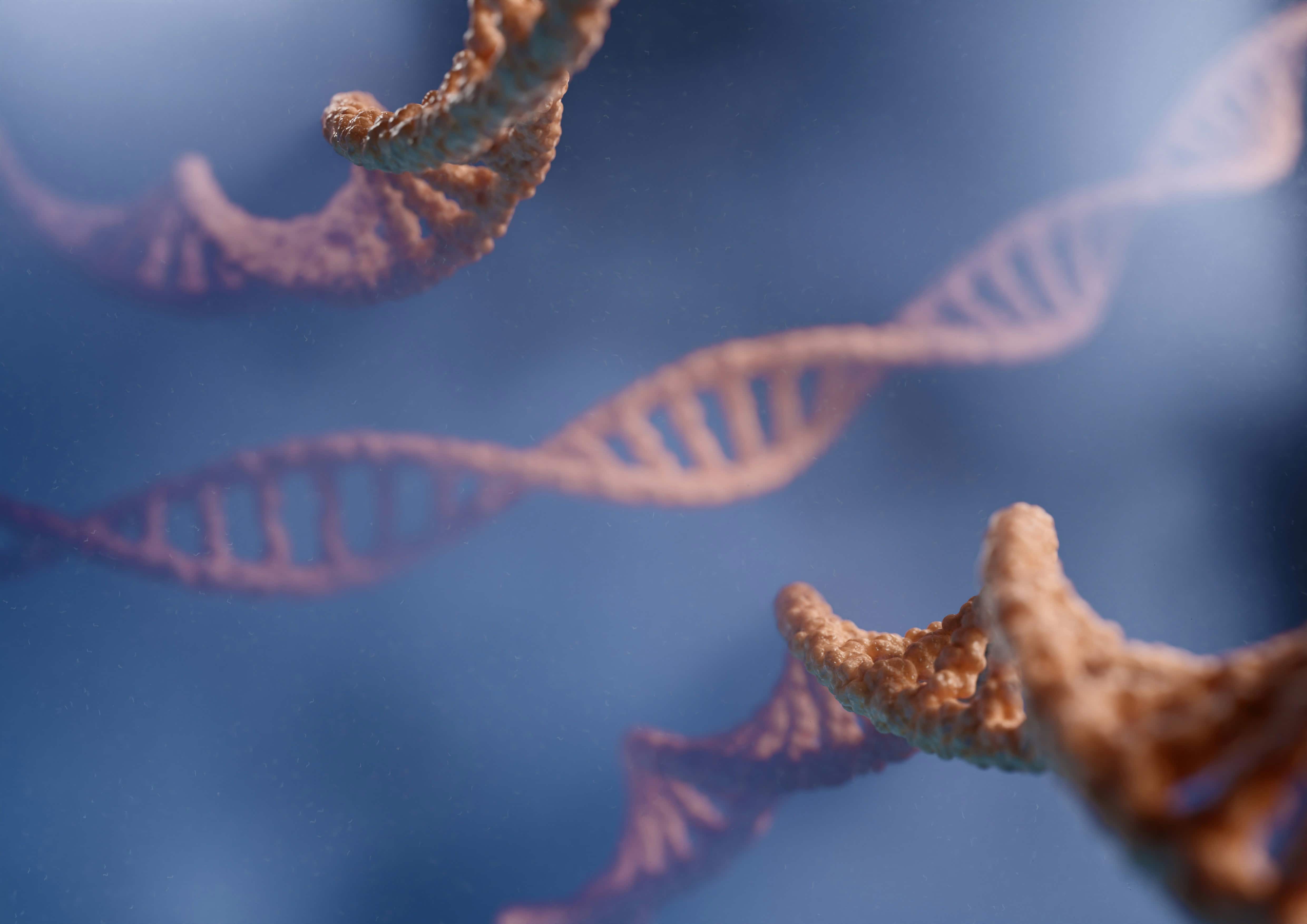 Genetic Counsellor