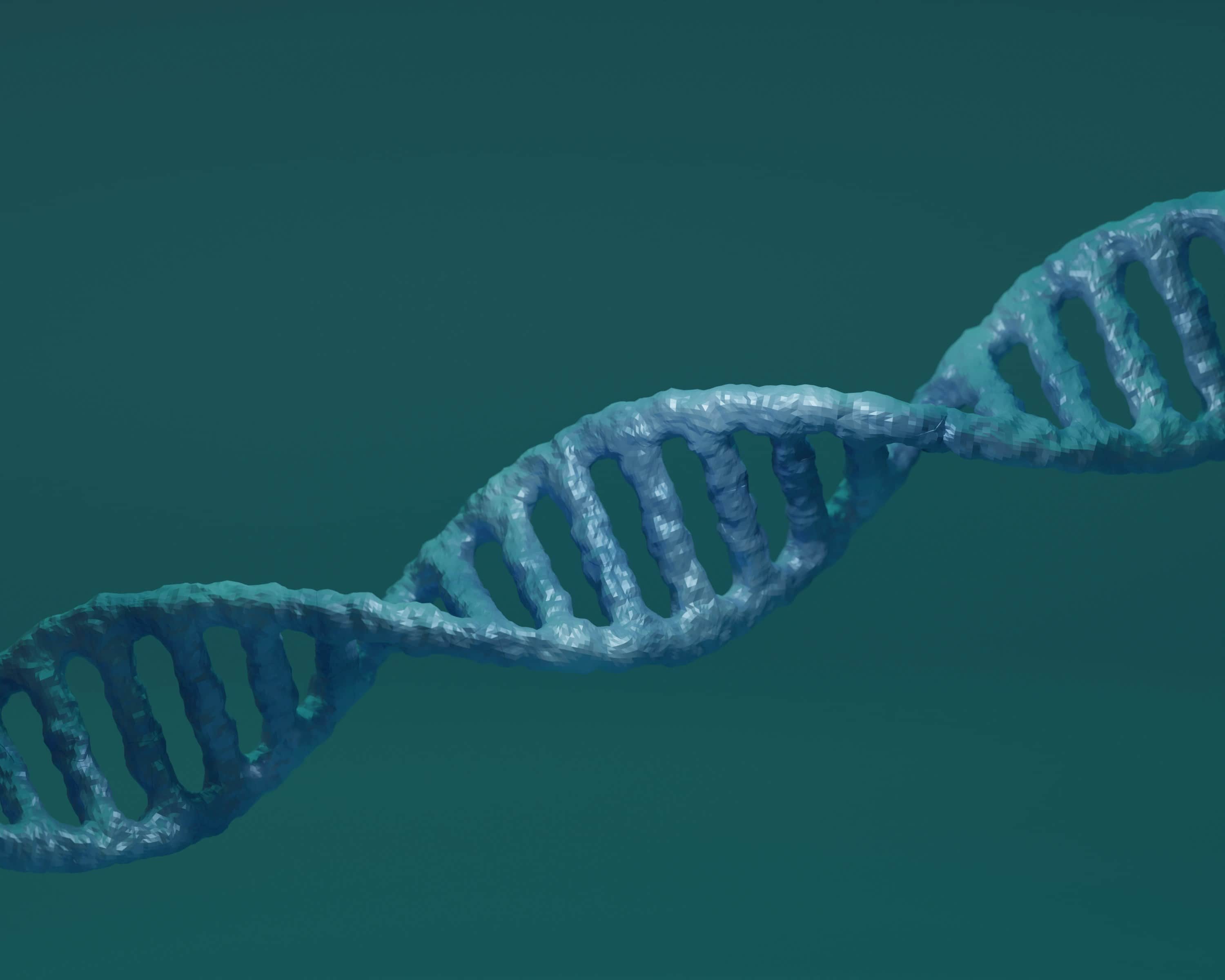 Bioinformatics Software Engineer