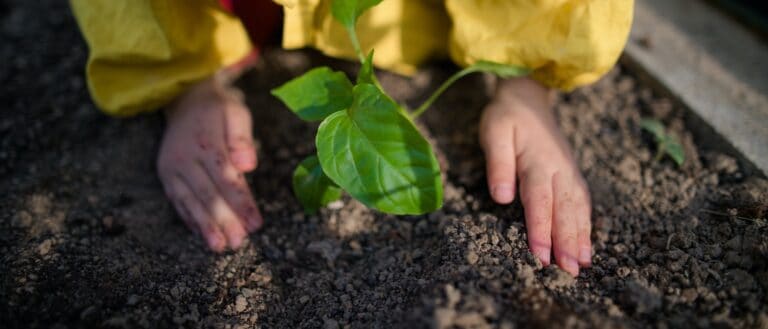 Soil and Water Conservation Engineer
