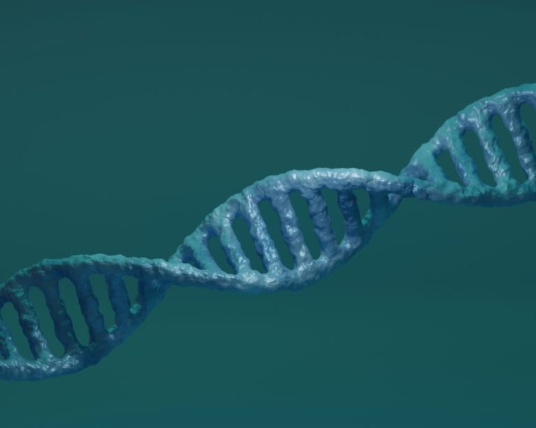 Bioinformatics Software Engineer